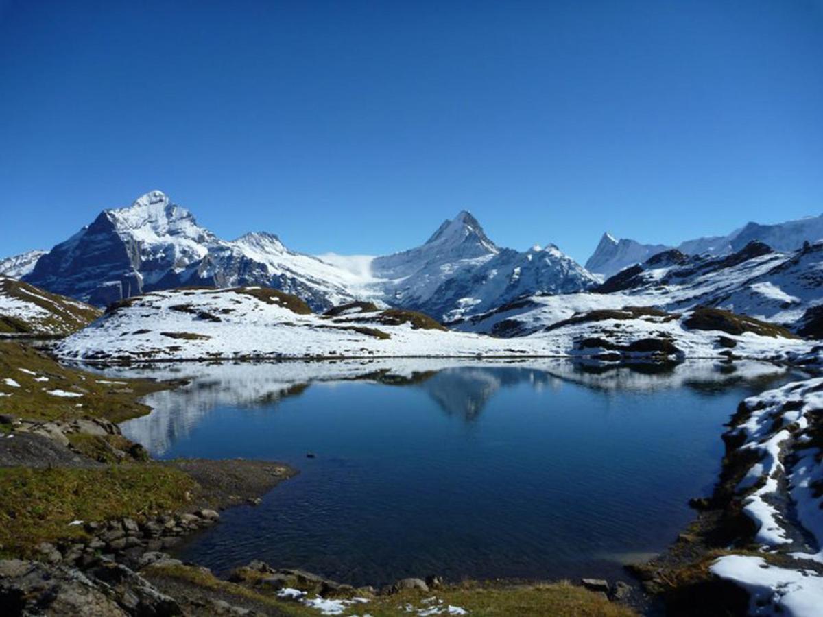 Luxury, New - Amazing Views Grindelwald Eiger Jungfrau Moench Apartment Exterior photo